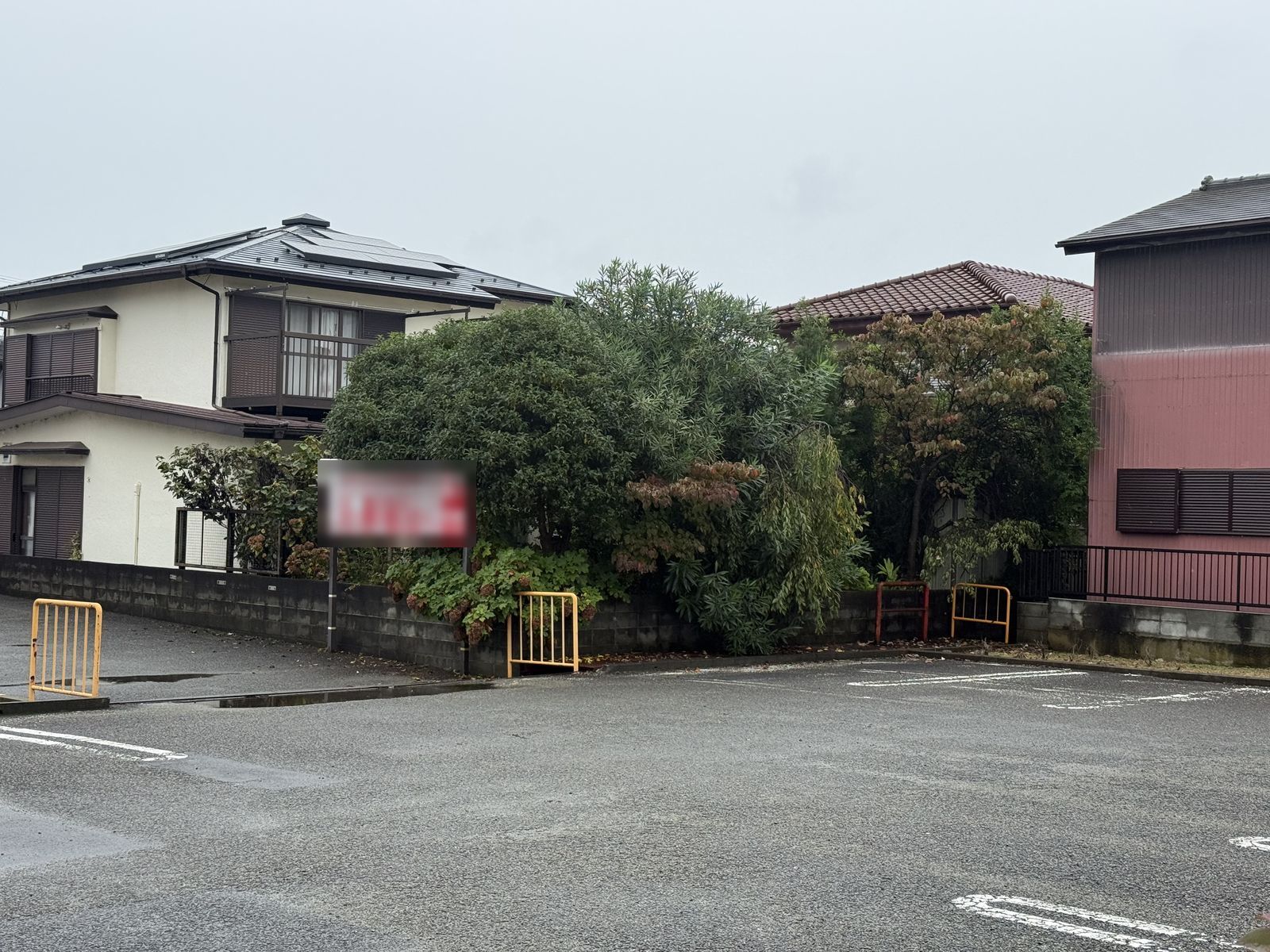 平塚市 庭木剪定 ビフォーアフター 施工前 ブロック塀の上を覆う庭木(道路側)